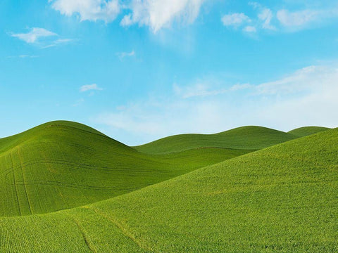 Farmscape Photo III White Modern Wood Framed Art Print with Double Matting by McLoughlin, James