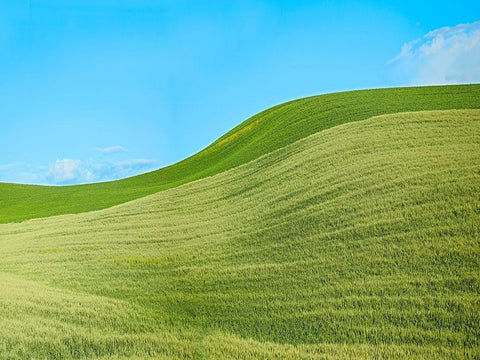 Farmscape Photo IV White Modern Wood Framed Art Print with Double Matting by McLoughlin, James