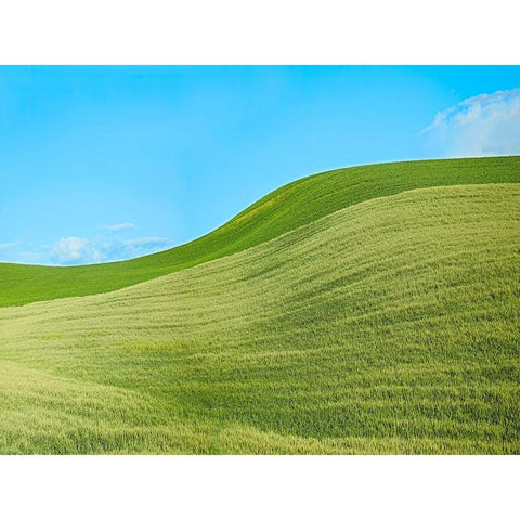 Farmscape Photo IV Black Modern Wood Framed Art Print by McLoughlin, James