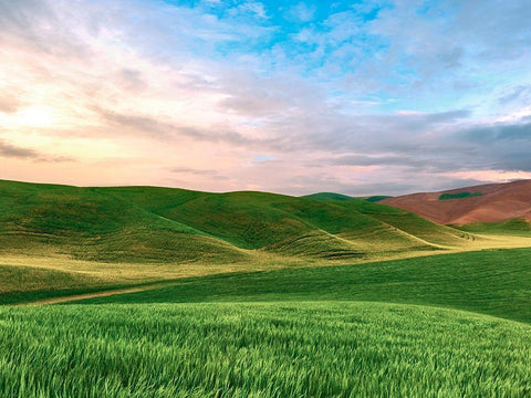 Farmscape Photo V Black Ornate Wood Framed Art Print with Double Matting by McLoughlin, James