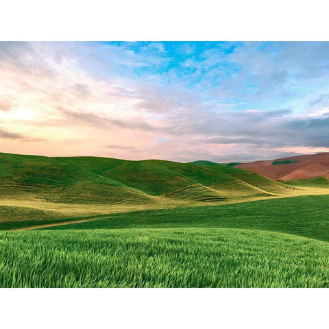 Farmscape Photo V Black Modern Wood Framed Art Print with Double Matting by McLoughlin, James