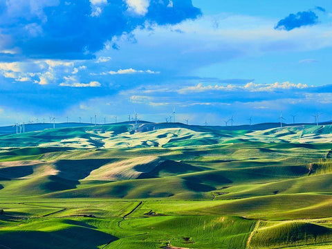 Farmscape Photo VI Black Ornate Wood Framed Art Print with Double Matting by McLoughlin, James