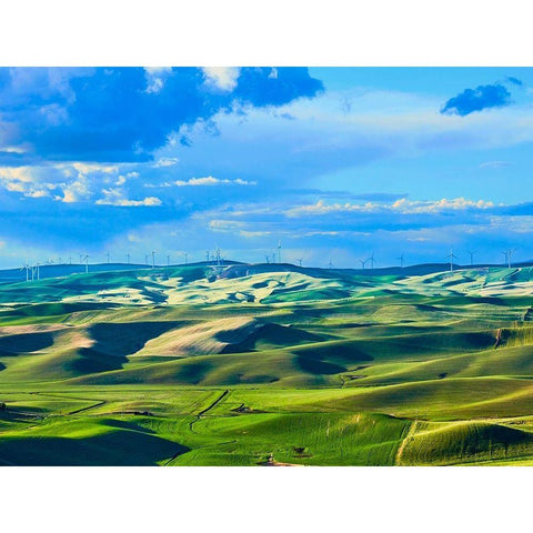 Farmscape Photo VI Black Modern Wood Framed Art Print with Double Matting by McLoughlin, James