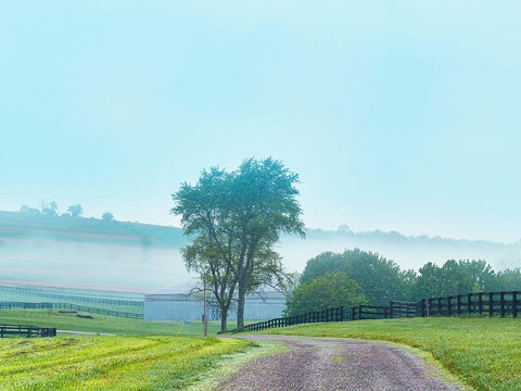 Farmscape Photo VII White Modern Wood Framed Art Print with Double Matting by McLoughlin, James