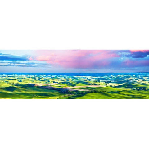 Farmscape Panorama II Gold Ornate Wood Framed Art Print with Double Matting by McLoughlin, James