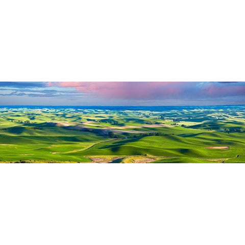 Farmscape Panorama IV Gold Ornate Wood Framed Art Print with Double Matting by McLoughlin, James