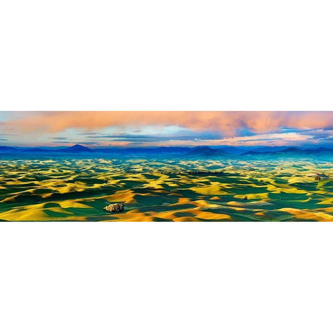 Farmscape Panorama V Black Modern Wood Framed Art Print by McLoughlin, James