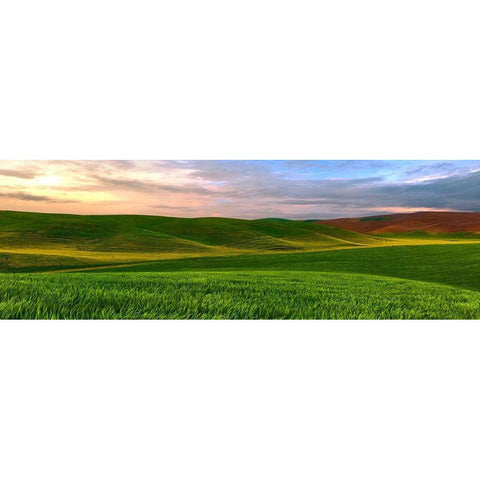 Farmscape Panorama VI Black Modern Wood Framed Art Print by McLoughlin, James