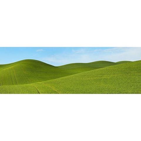 Farmscape Panorama VII White Modern Wood Framed Art Print by McLoughlin, James