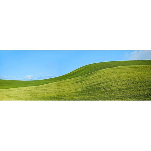 Farmscape Panorama VIII Gold Ornate Wood Framed Art Print with Double Matting by McLoughlin, James