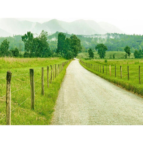 Country Road Photo I Black Modern Wood Framed Art Print by McLoughlin, James