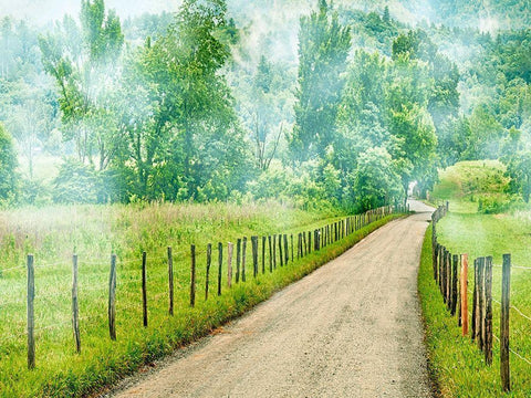 Country Road Photo II White Modern Wood Framed Art Print with Double Matting by McLoughlin, James