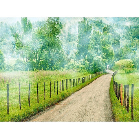 Country Road Photo II Black Modern Wood Framed Art Print with Double Matting by McLoughlin, James