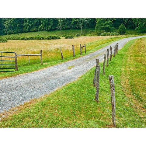Country Road Photo III Gold Ornate Wood Framed Art Print with Double Matting by McLoughlin, James