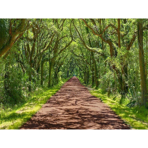 Country Road Photo IV Black Modern Wood Framed Art Print with Double Matting by McLoughlin, James