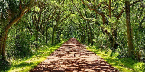 Country Road Photo VII White Modern Wood Framed Art Print with Double Matting by McLoughlin, James