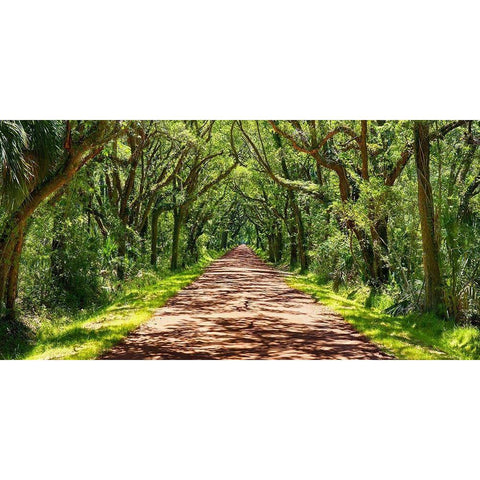 Country Road Photo VII Black Modern Wood Framed Art Print with Double Matting by McLoughlin, James