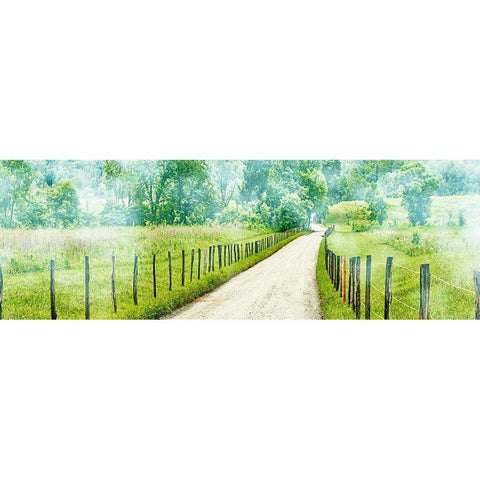 Country Road Panorama II Gold Ornate Wood Framed Art Print with Double Matting by McLoughlin, James