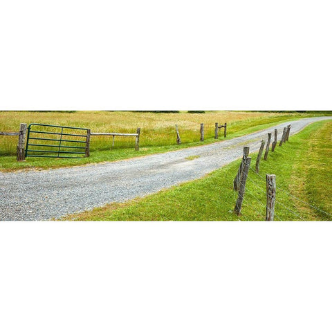 Country Road Panorama III Black Modern Wood Framed Art Print by McLoughlin, James