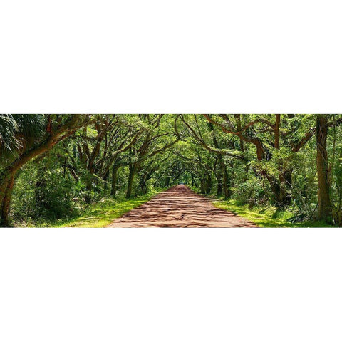 Country Road Panorama IV White Modern Wood Framed Art Print by McLoughlin, James