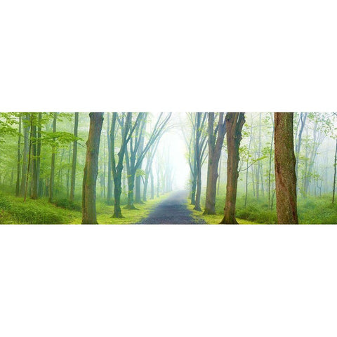 Country Road Panorama V Black Modern Wood Framed Art Print with Double Matting by McLoughlin, James