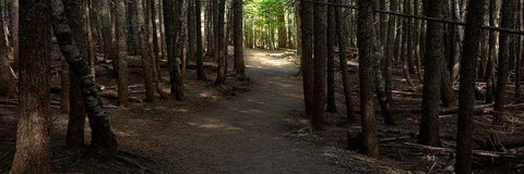 Country Road Panorama VII White Modern Wood Framed Art Print with Double Matting by McLoughlin, James