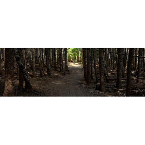 Country Road Panorama VII White Modern Wood Framed Art Print by McLoughlin, James