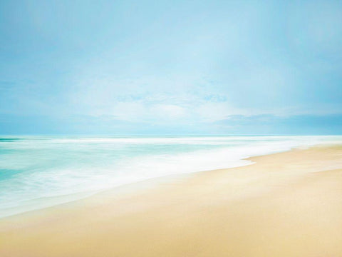 Beachscape Photo IV Black Ornate Wood Framed Art Print with Double Matting by McLoughlin, James