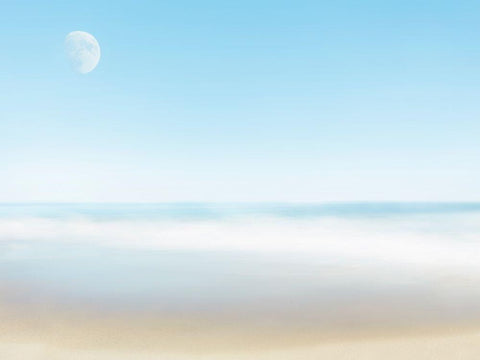 Beachscape Photo VI Black Ornate Wood Framed Art Print with Double Matting by McLoughlin, James