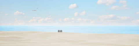 Beachscape Panorama VII Black Ornate Wood Framed Art Print with Double Matting by McLoughlin, James