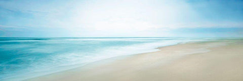 Beachscape Panorama VIII Black Ornate Wood Framed Art Print with Double Matting by McLoughlin, James