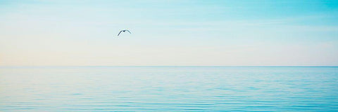 Beachscape Panorama XII White Modern Wood Framed Art Print with Double Matting by McLoughlin, James