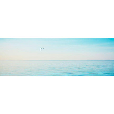 Beachscape Panorama XII White Modern Wood Framed Art Print by McLoughlin, James