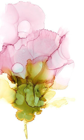 Blooming Pink I Black Ornate Wood Framed Art Print with Double Matting by Goldberger, Jennifer