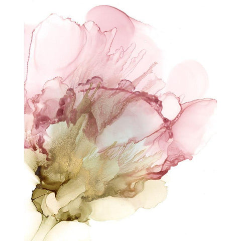 Flowering Pink II Black Modern Wood Framed Art Print by Goldberger, Jennifer