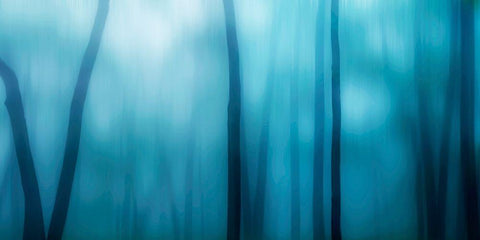 Harriman Woods I White Modern Wood Framed Art Print with Double Matting by McLoughlin, James