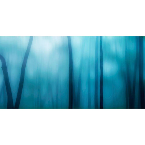 Harriman Woods I Black Modern Wood Framed Art Print by McLoughlin, James