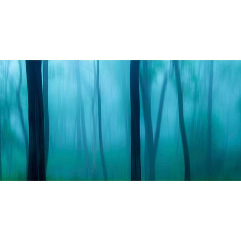 Harriman Woods II Gold Ornate Wood Framed Art Print with Double Matting by McLoughlin, James
