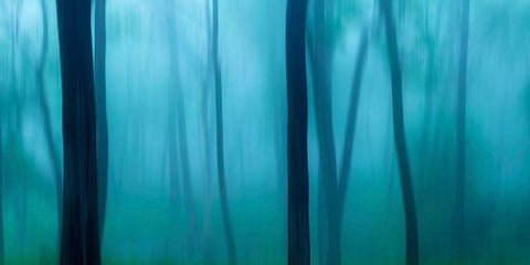 Harriman Woods II White Modern Wood Framed Art Print with Double Matting by McLoughlin, James