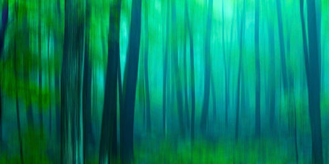 Harriman Woods III Black Ornate Wood Framed Art Print with Double Matting by McLoughlin, James