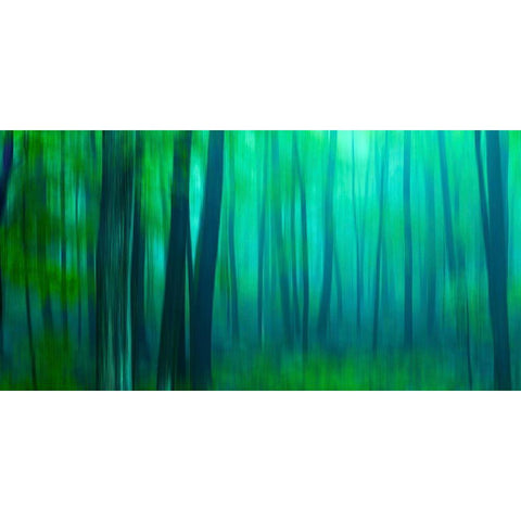 Harriman Woods III Black Modern Wood Framed Art Print by McLoughlin, James