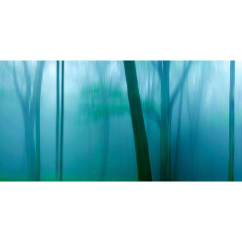 Harriman Woods IV White Modern Wood Framed Art Print by McLoughlin, James