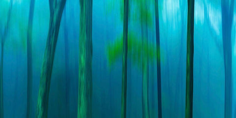 Harriman Woods V White Modern Wood Framed Art Print with Double Matting by McLoughlin, James