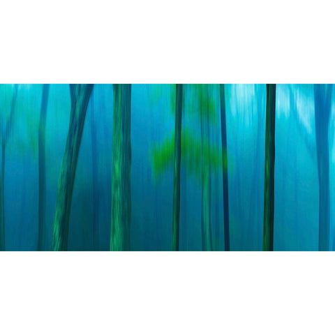 Harriman Woods V White Modern Wood Framed Art Print by McLoughlin, James