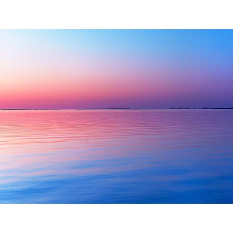 Lakescape IV Black Modern Wood Framed Art Print by McLoughlin, James