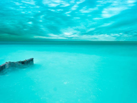 Lakescape VII Black Ornate Wood Framed Art Print with Double Matting by McLoughlin, James