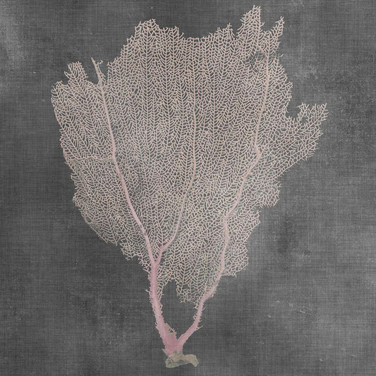 Image Only