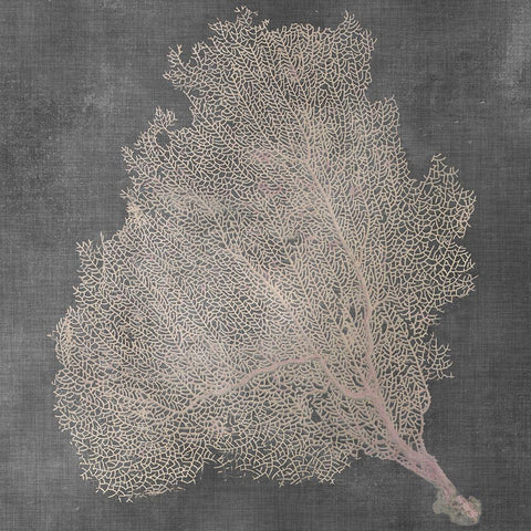 Natural Sea Fan VII White Modern Wood Framed Art Print by Vision Studio