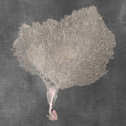 Natural Sea Fan VIII Black Modern Wood Framed Art Print with Double Matting by Vision Studio