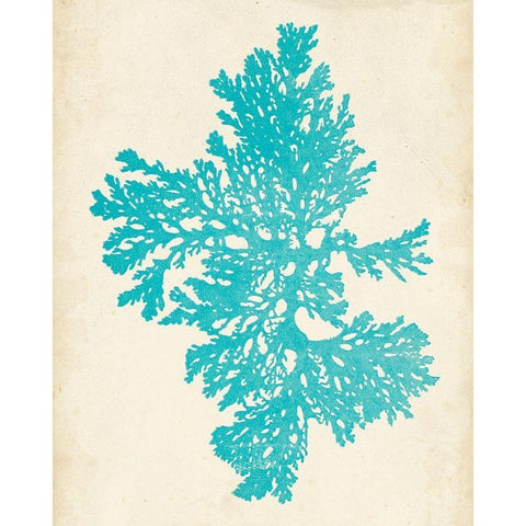 Aquamarine Seaweed II Black Modern Wood Framed Art Print with Double Matting by Vision Studio